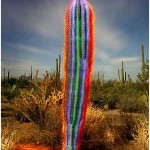 best_gay_palm_springs_rainbow
